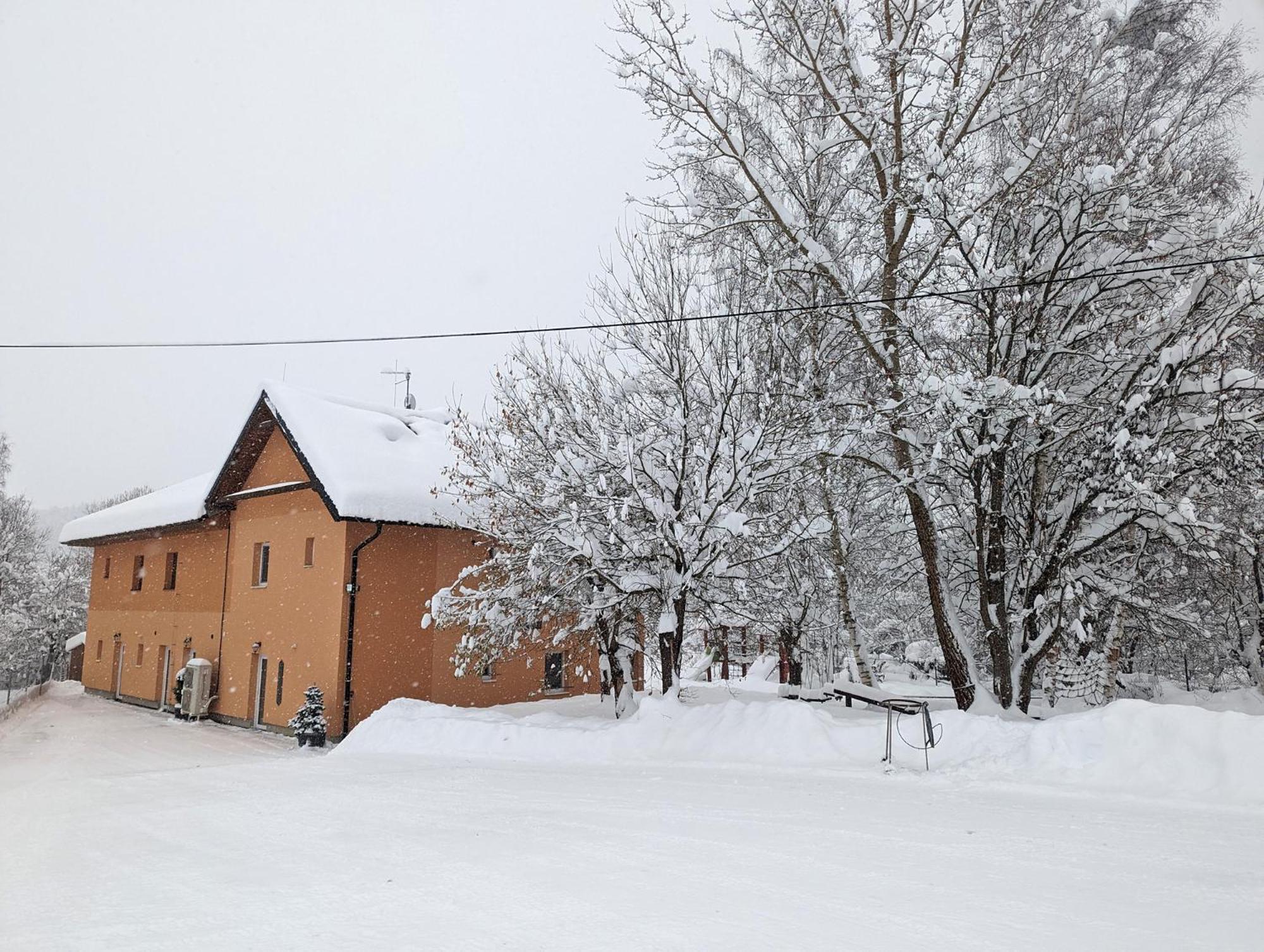 Apartments Nad Rybniky Horni Plana Exterior photo